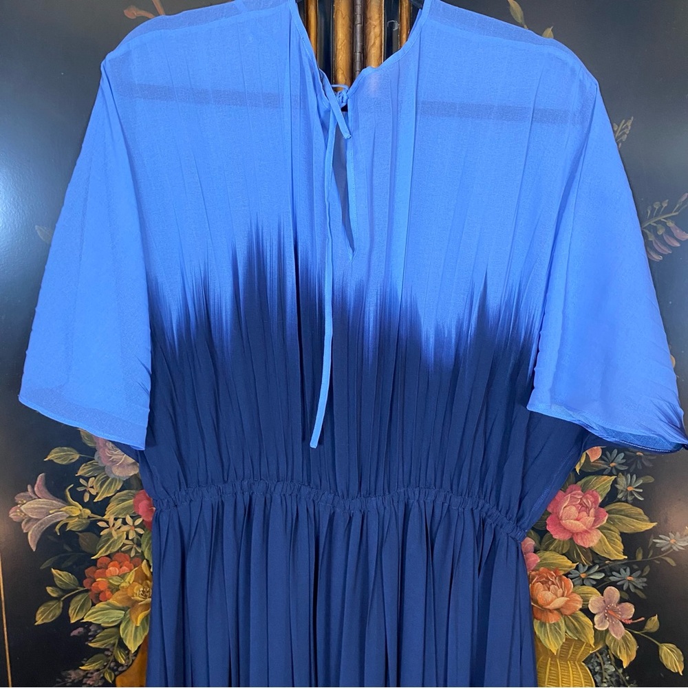 Banana Republic Chiffon Pleated Maxi Dress - Picture 6 of 9